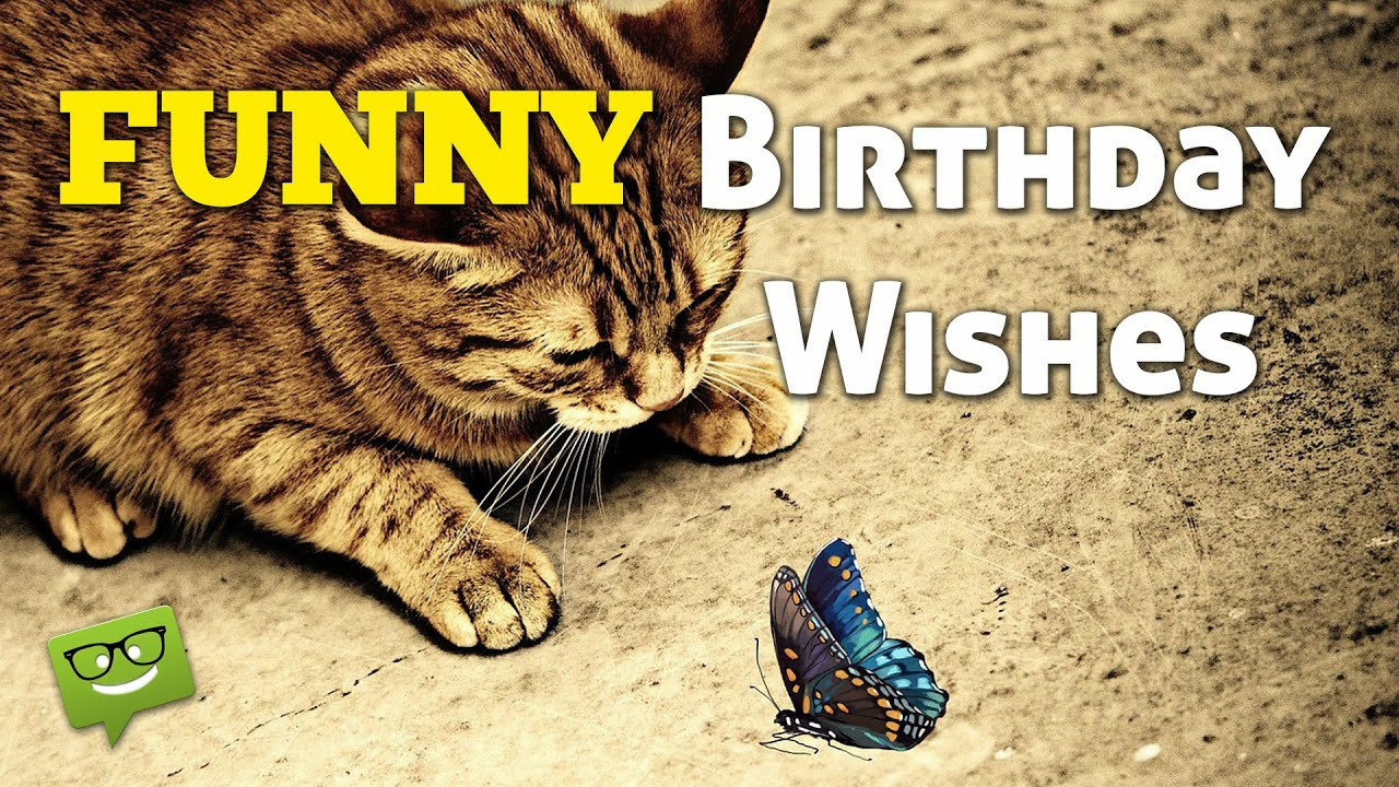 Funny Wishes For Birthday
 Funny Birthday Wishes