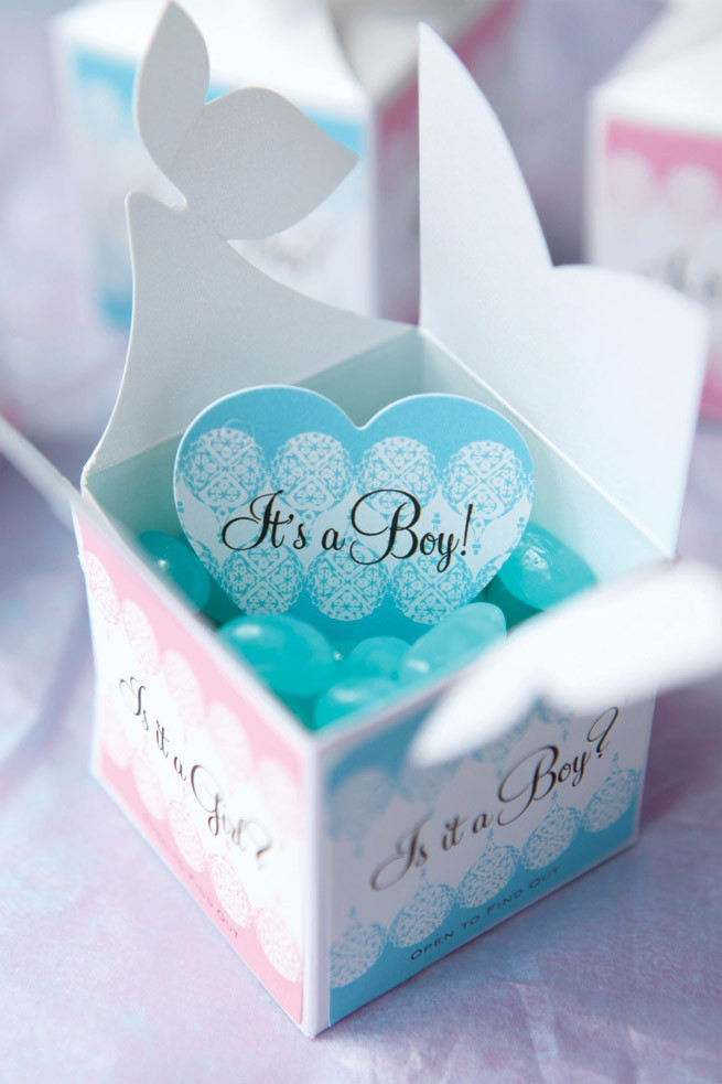 Gender Party Gift Ideas
 Baby Gender Reveal Gifts Party Inspiration
