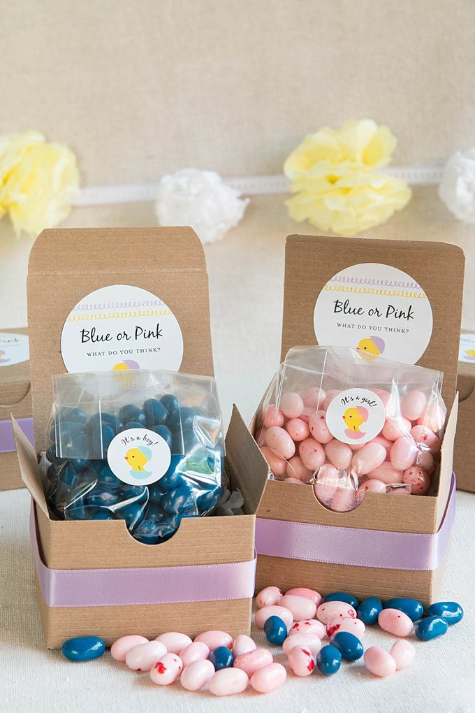 Gender Party Gift Ideas
 Gender Reveal Treat Boxes Party Inspiration