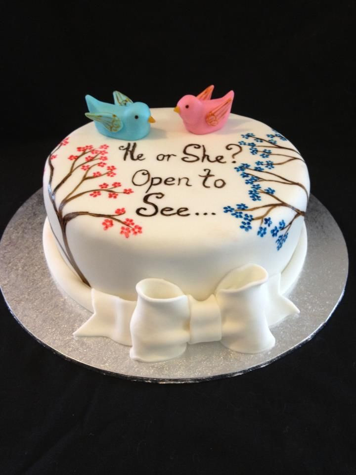 Gender Reveal Party Cake Ideas
 Cute Gender Reveal Cake e into Stork 4D Imaging Studio