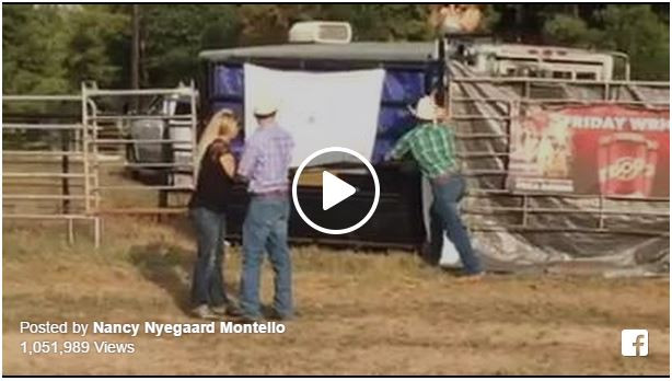 Gender Reveal Party Ideas Country
 This Is How Horse People Do A Gender Reveal Party – The