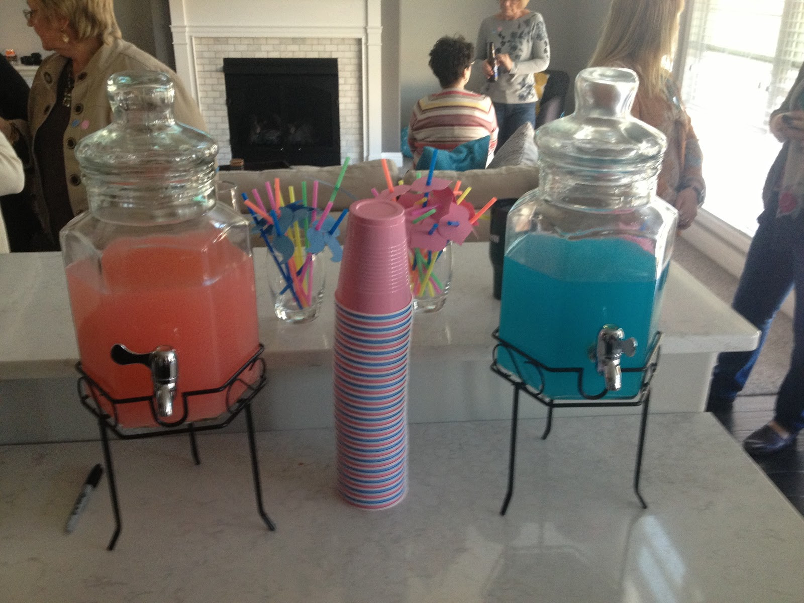 Gender Reveal Party Ideas For Twins
 Recently Rimini Our Gender Reveal Party for the Twins