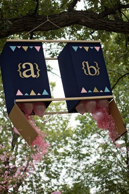 Gender Reveal Party Ideas For Twins
 8 best images about baby shower on Pinterest