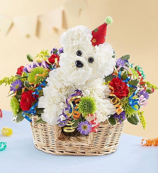 Get Well Gifts For Kids Same Day Delivery
 Another Year Rover™ Birthday Bouquet