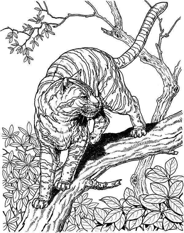 Giant Coloring Books For Adults
 20 best Big cat coloring pages images on Pinterest