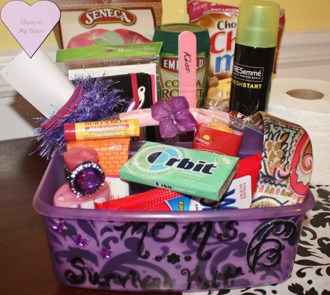 Gift Basket For Child In Hospital
 For the Expecting Mom Hospital Survival Kit