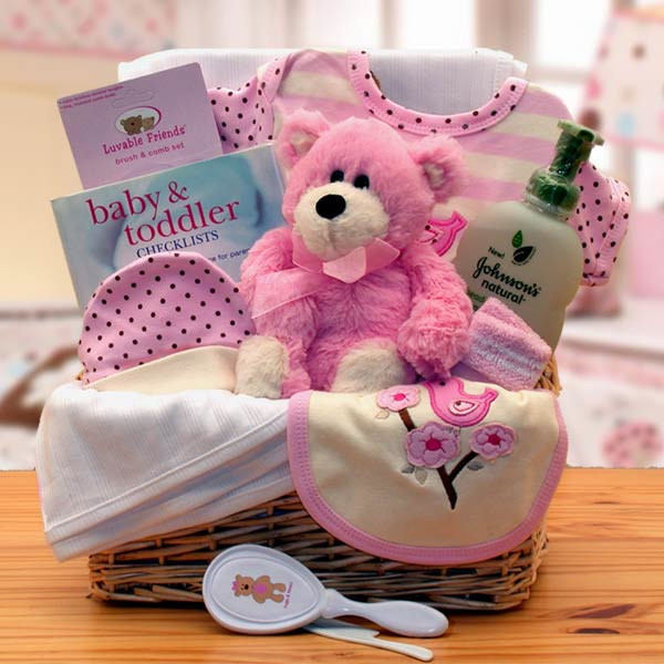 Gift Baskets For New Baby Girl
 Organic New Baby Girl Gift Basket