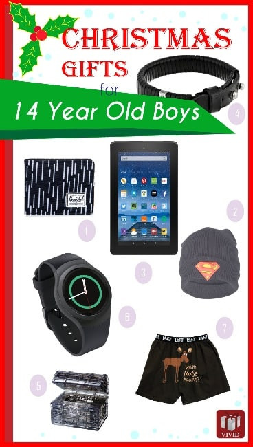 Gift Ideas For 14 Year Old Boys
 Cool Gifts for 14 Year Old Boys Christmas 2015 Vivid s