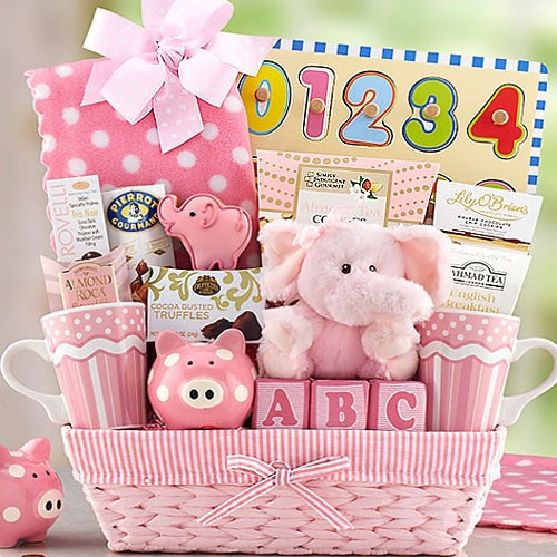 Gift Ideas For A Baby Girl
 New Baby Girl Basket