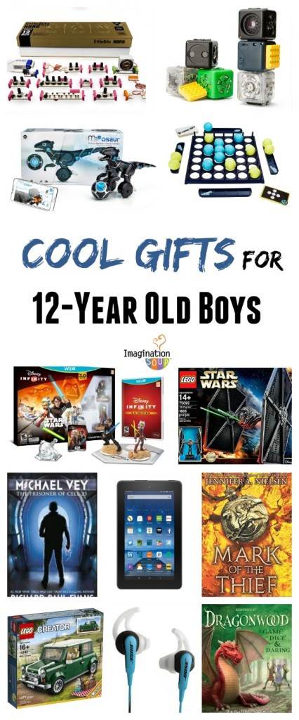 Gift Ideas For Boys Age 12
 Gifts for 12 Year Old Boys