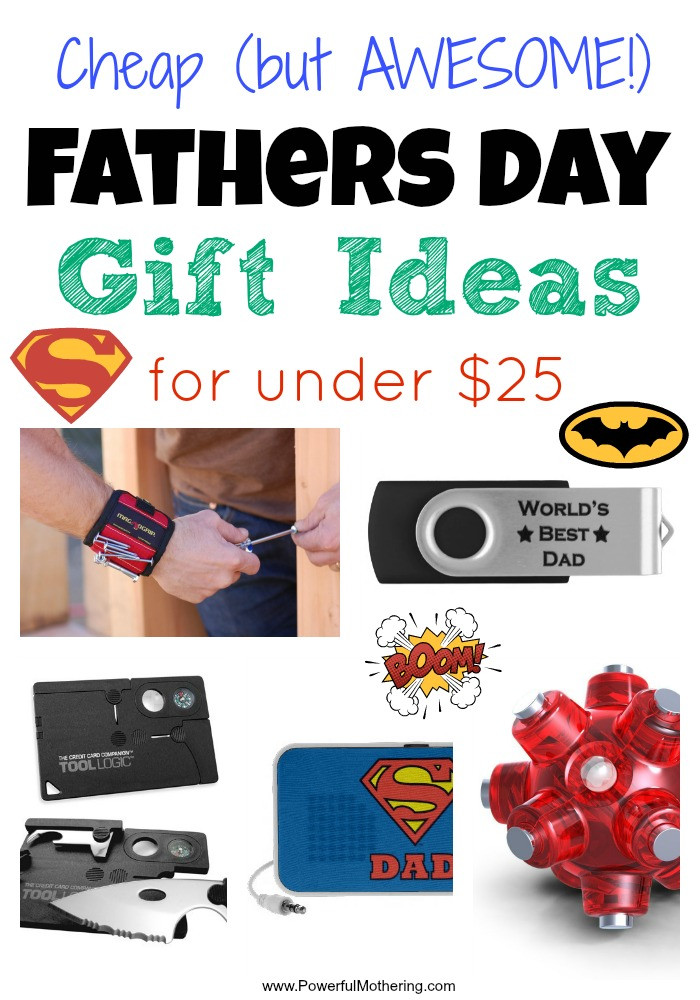 Gift Ideas For Father
 Cheap Fathers Day Gift Ideas for under $25