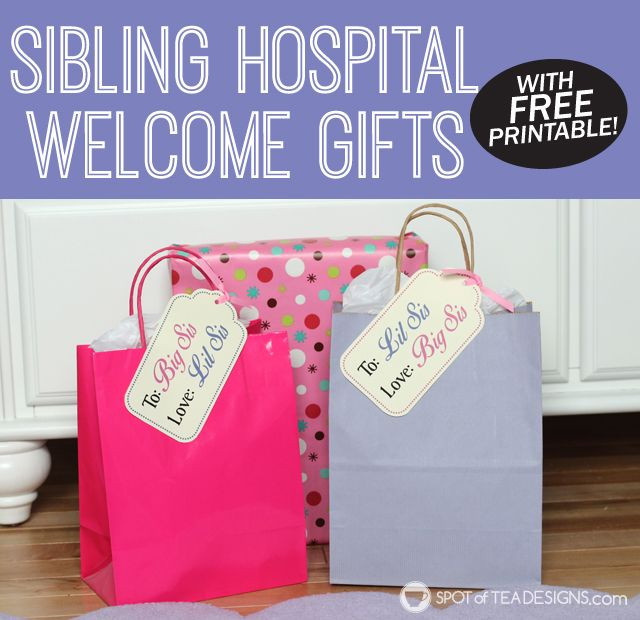 Gift Ideas For Sibling From New Baby
 Big Sister and Little Sister Wel e Gifts With Free
