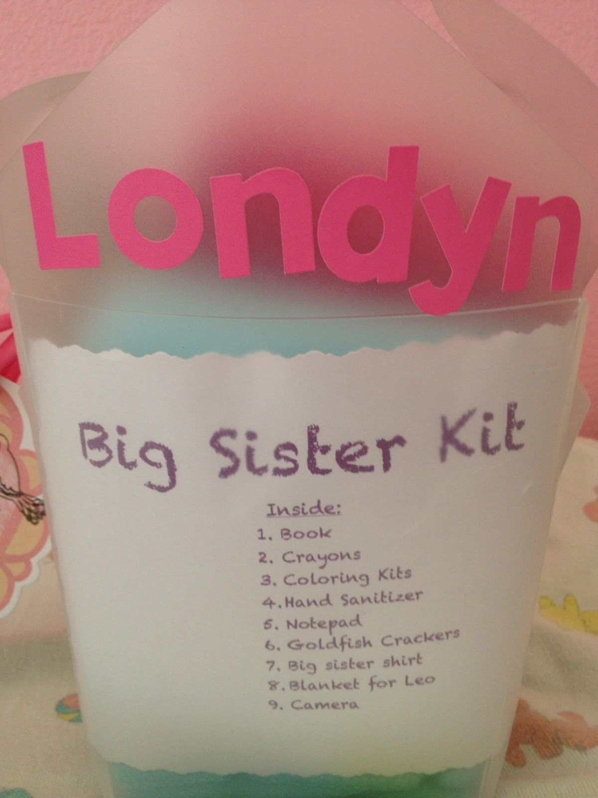 Gift Ideas For Siblings When Baby Is Born
 Big Sister Kit baby shower t Cute idea for the big
