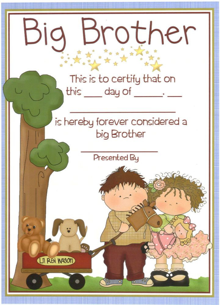 Gift Ideas For Siblings When Baby Is Born
 Details about Big Brother Certificate Personalised Gift