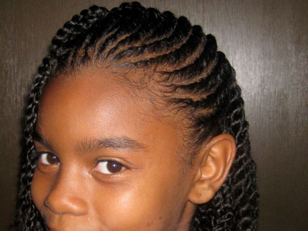 Girl Hairstyle Braids
 Cute Braided Hairstyles for Black Girls trends hairstyle