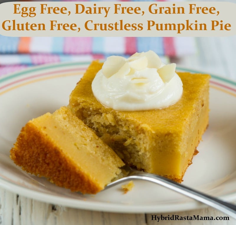 Gluten And Dairy Free Pumpkin Pie
 Crustless Pumpkin Pie Egg Free Dairy Free Grain Free
