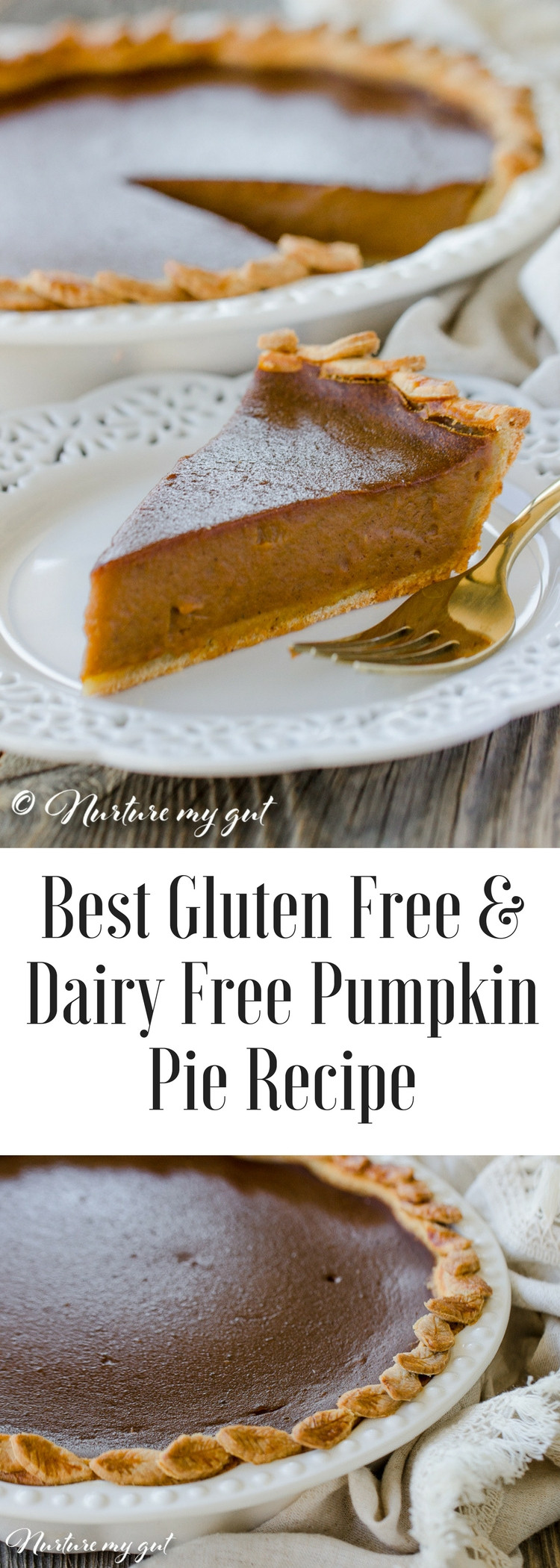 Gluten And Dairy Free Pumpkin Pie
 Gluten Free Dairy Free Pumpkin Pie Recipe Best Pie Recipe 