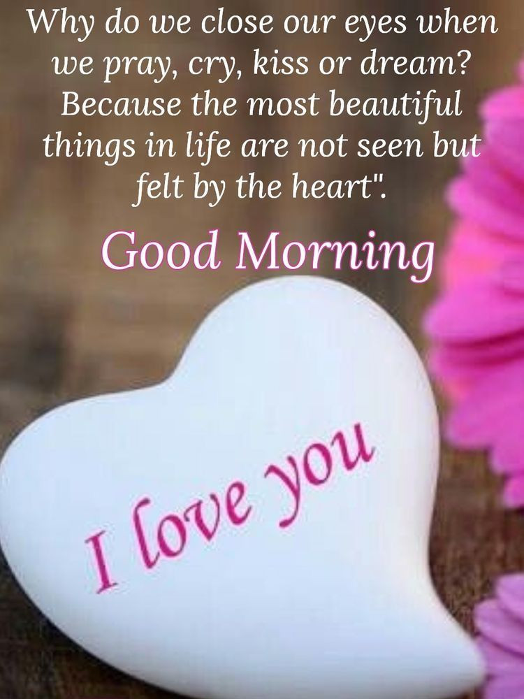 Good Morning Baby Quotes For Him
 Good Morning 💝 I Hope You Are Feeling Better Today 💕🙏😇 I