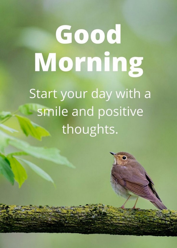 Good Morning Inspirational Quotes
 150 Unique Good Morning Quotes and Wishes My Happy