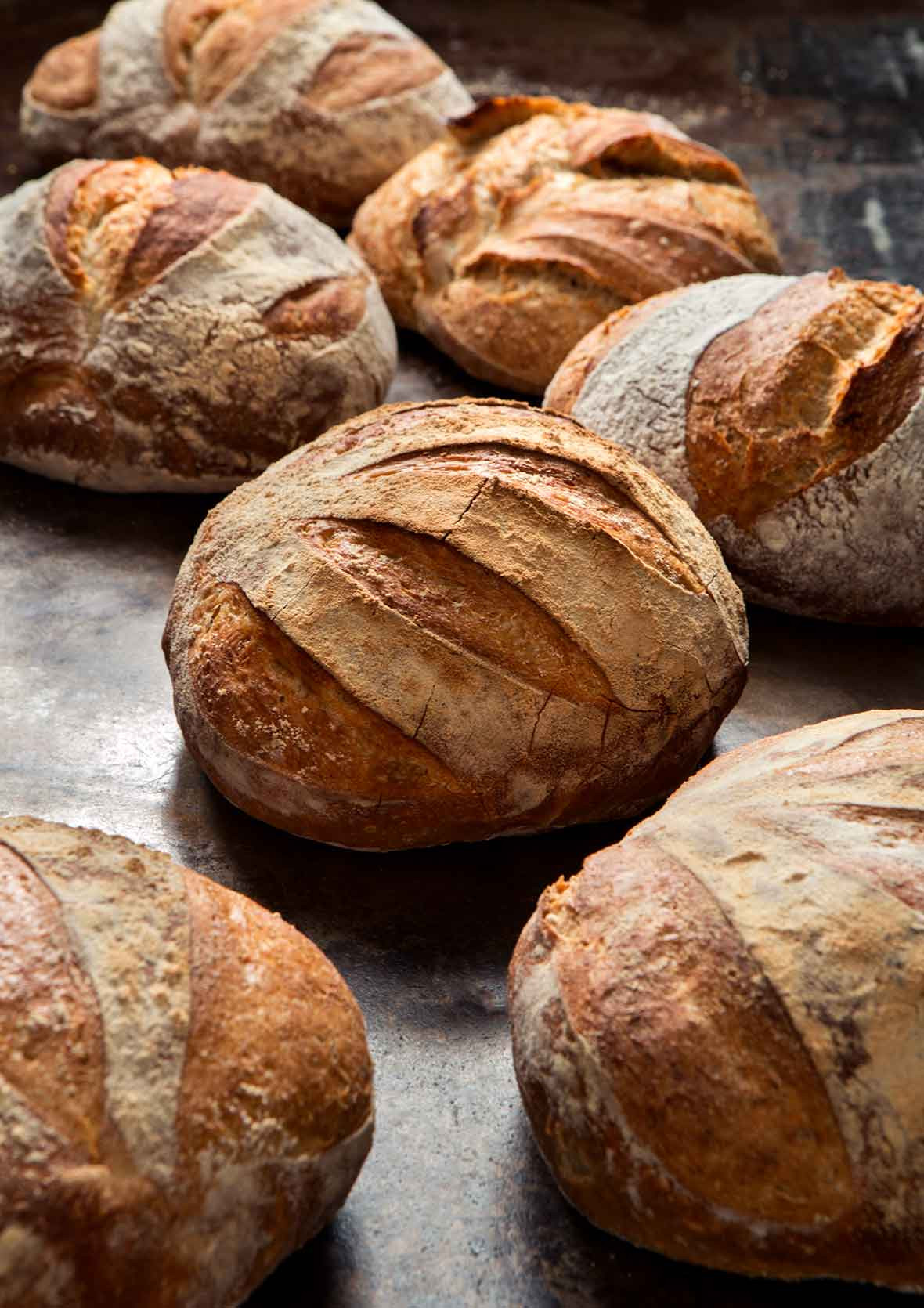 Gourmet Bread Recipes
 No Knead 5 Minute Artisan Bread Recipe