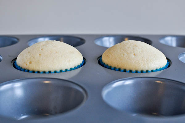 Gourmet Super Moist Vanilla Cupcakes Recipes
 e Bowl Vanilla Cupcakes For Two
