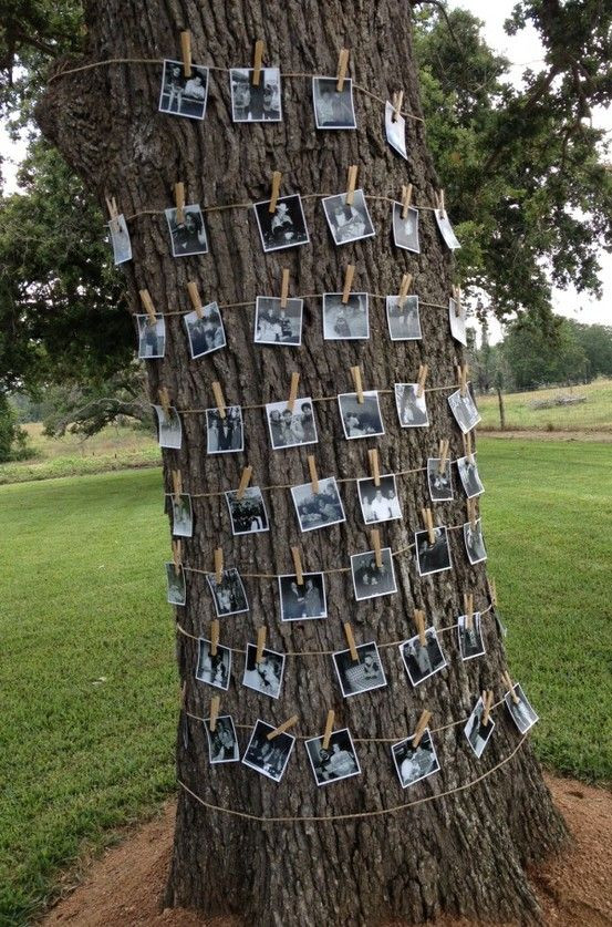 Graduation Outdoor Party Ideas
 38 best images about 30th Wedding Anniversary on Pinterest