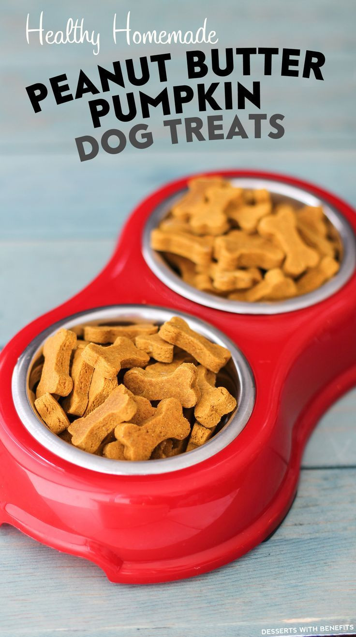 Grain Free Pumpkin Dog Treat Recipes
 Healthy Homemade Peanut Butter Pumpkin Dog Treats