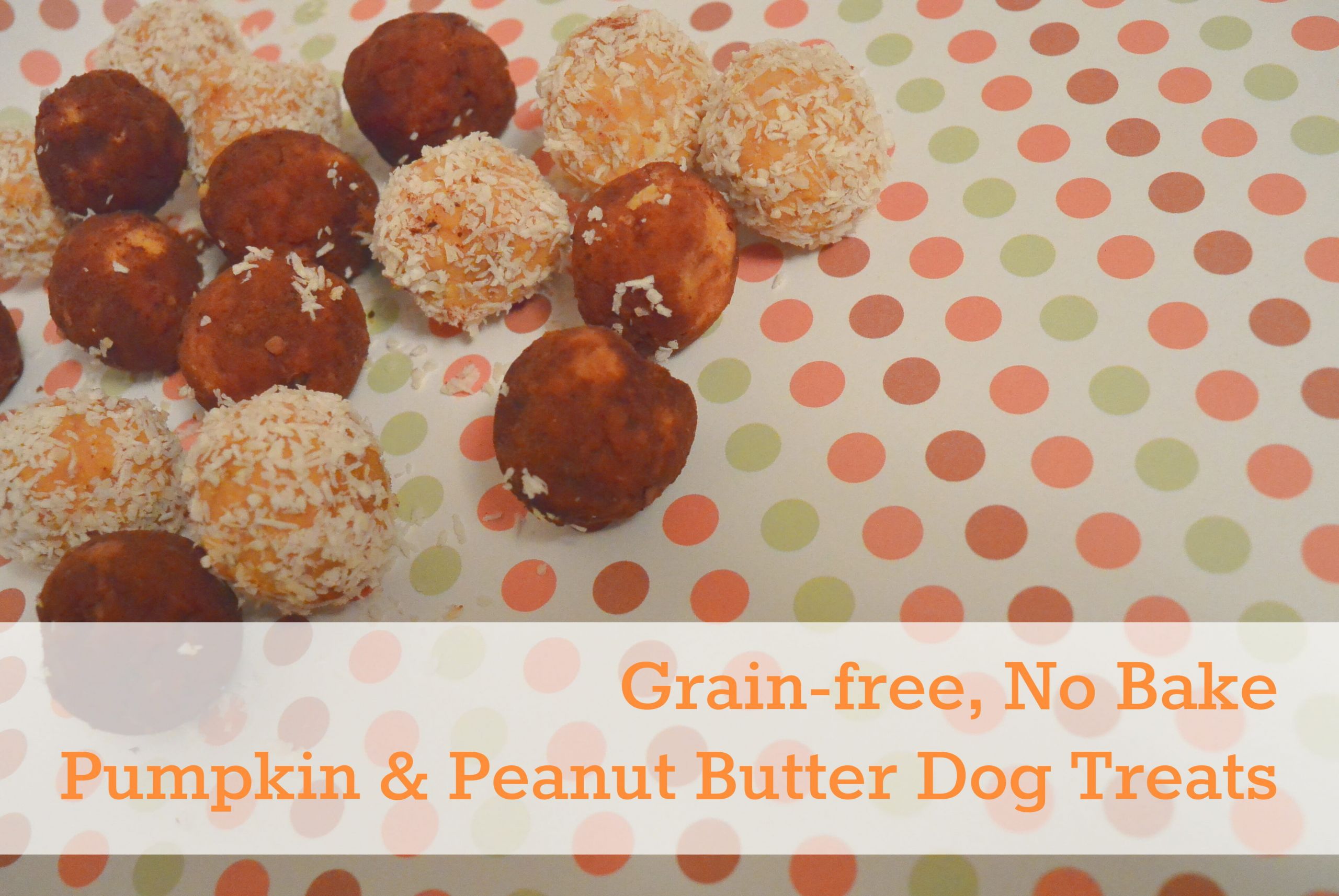Grain Free Pumpkin Dog Treat Recipes
 Kol s Notes A DIY Dog Blog