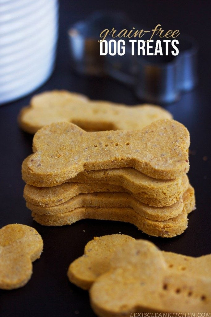 Grain Free Pumpkin Dog Treat Recipes
 22 Homemade Dog Treat Recipes Your Pup Will Beg For Fun