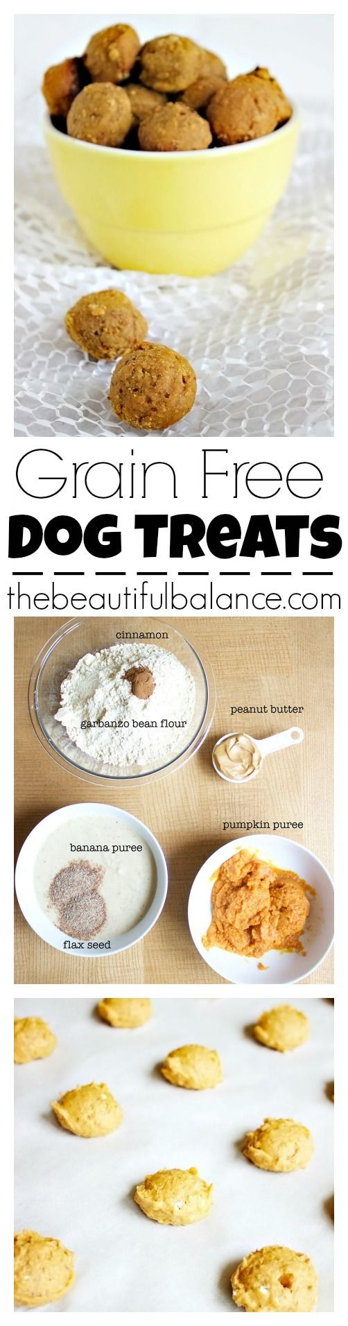 Grain Free Pumpkin Dog Treat Recipes
 Easy Grain Free Dog Treats Recipe