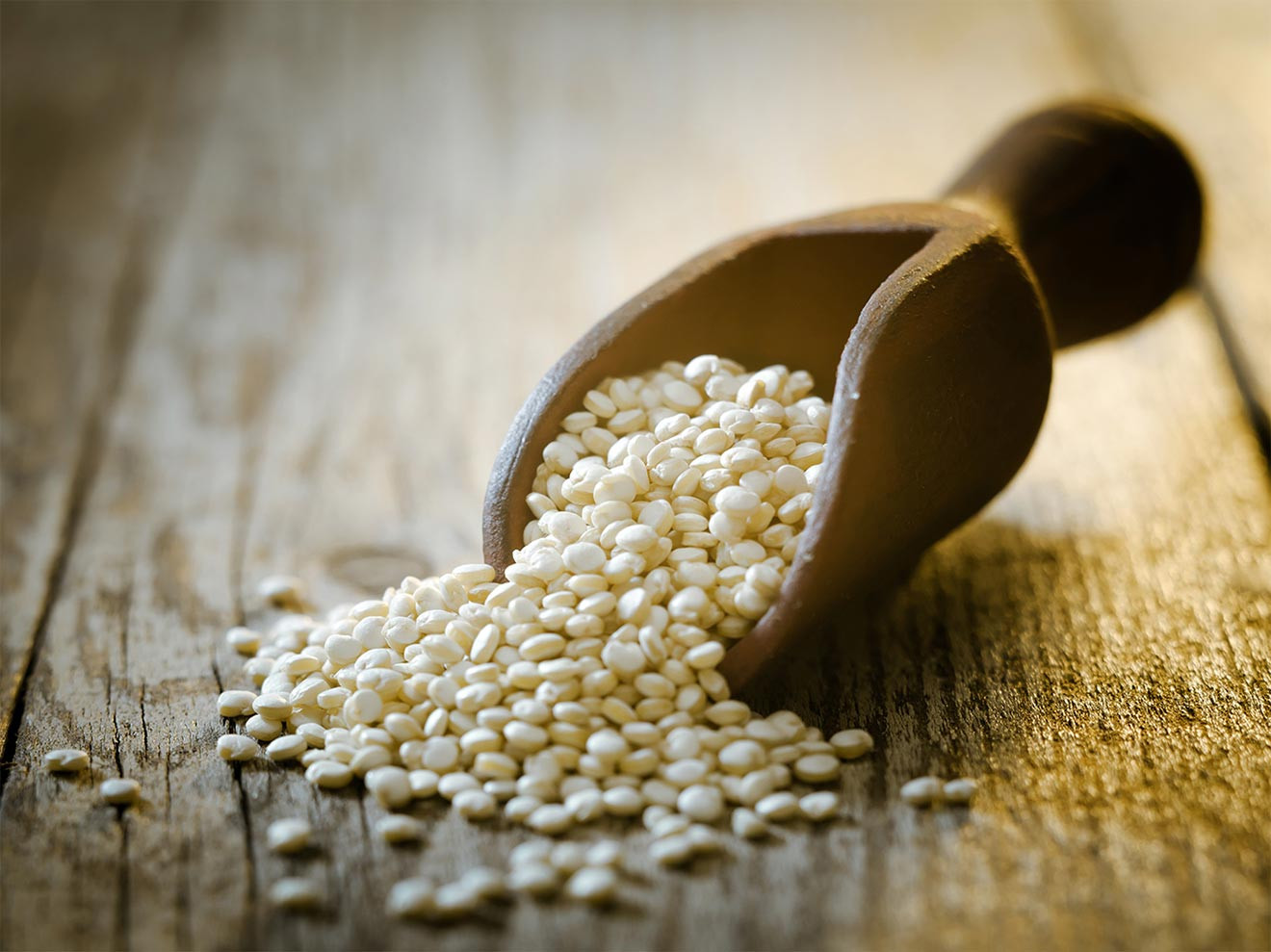 Grains Like Quinoa
 Spotlight on Quinoa Chilled Magazine