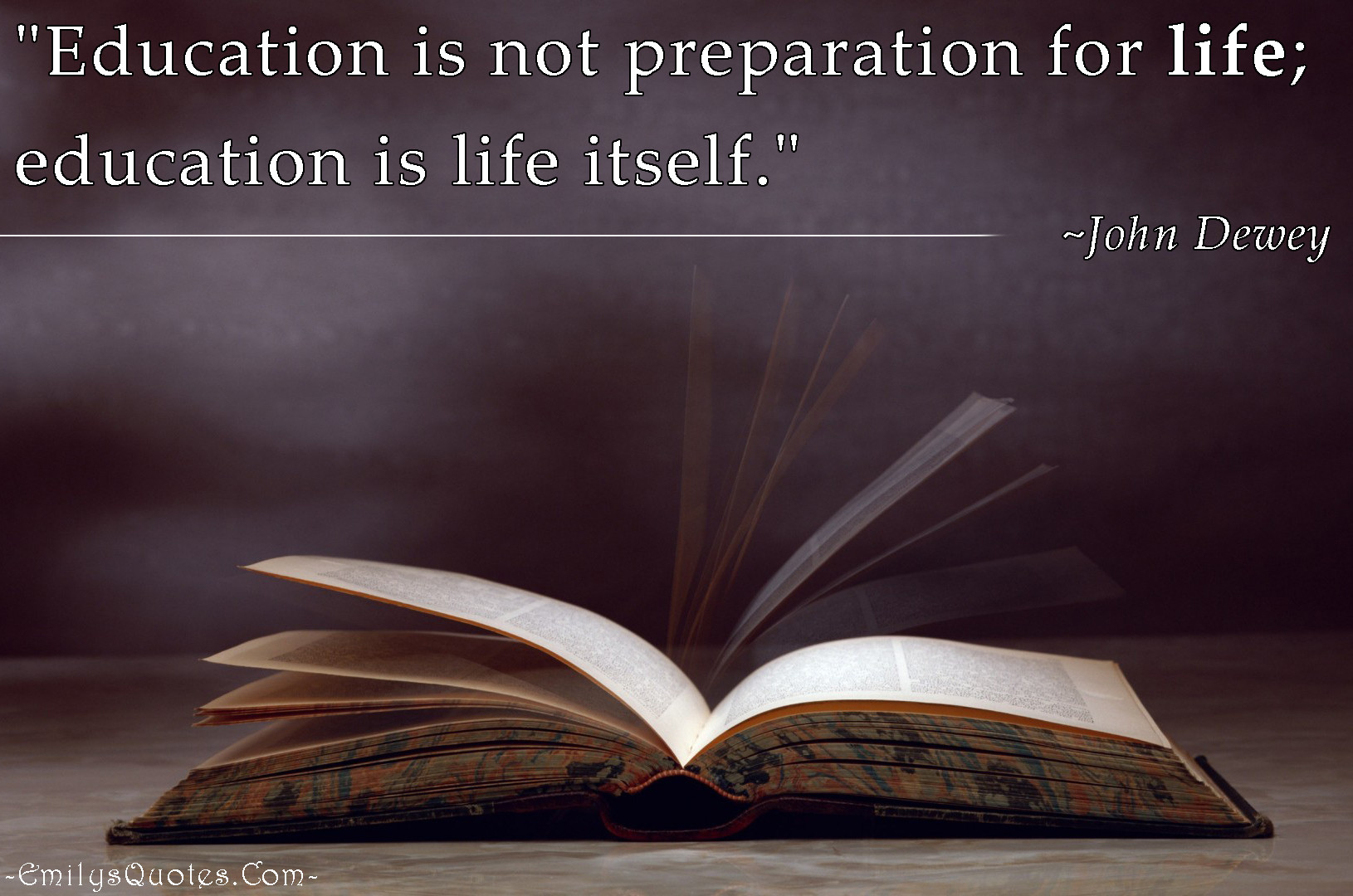 Great Education Quote
 Education is not preparation for life education is life