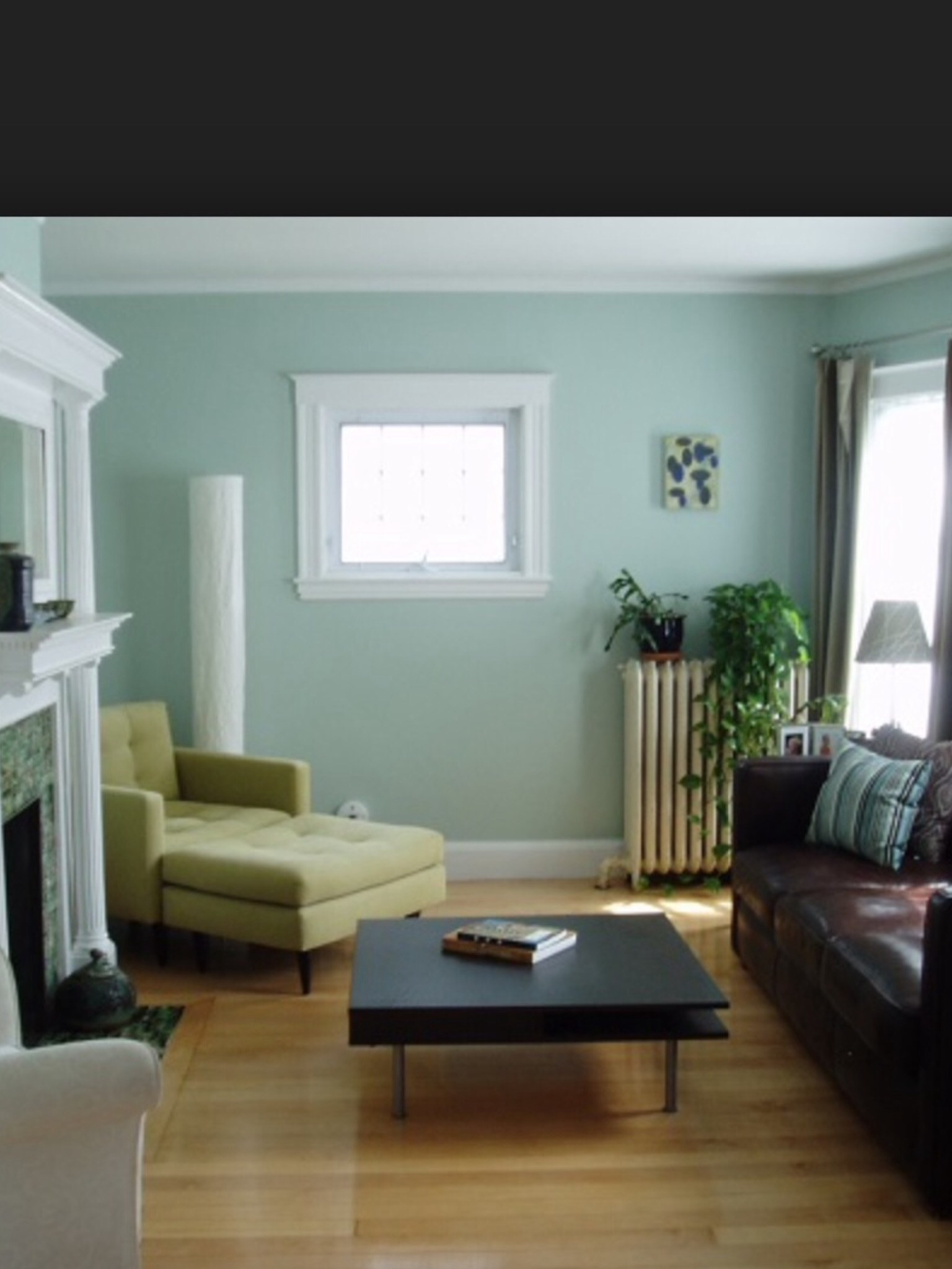 Green Paint For Living Room
 Blue Blue green paint for living room The colour I want
