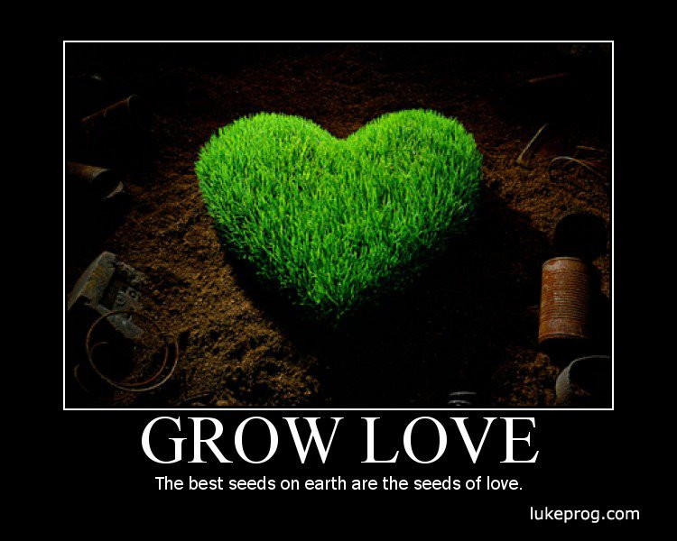 Growing Love Quotes
 Pool Inspirational quote