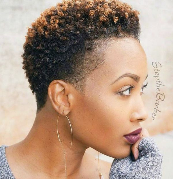 Haircuts For Natural Hair
 Best 6 Short Natural Hairstyles for Black Women