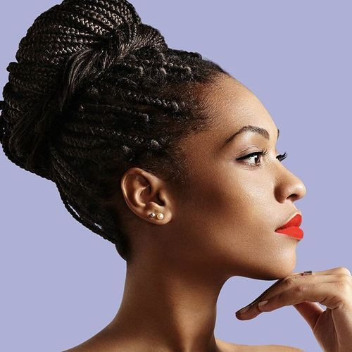 Hairstyle Updo Braid
 Senegalese Twist Vs Box Braid Which e Is Better For You