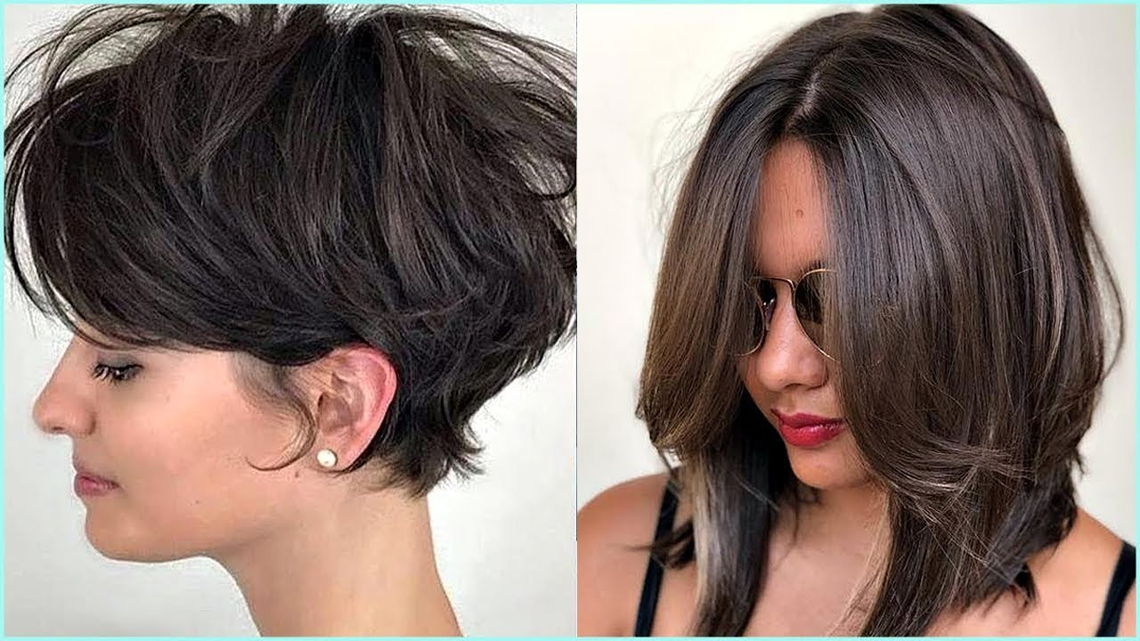Hairstyles For Female
 15 Amazing Haircut To Try ️ Professional Haircuts For