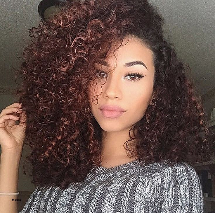 Hairstyles For Mixed Women
 Fresh haircuts for curly hair Haircuts for all