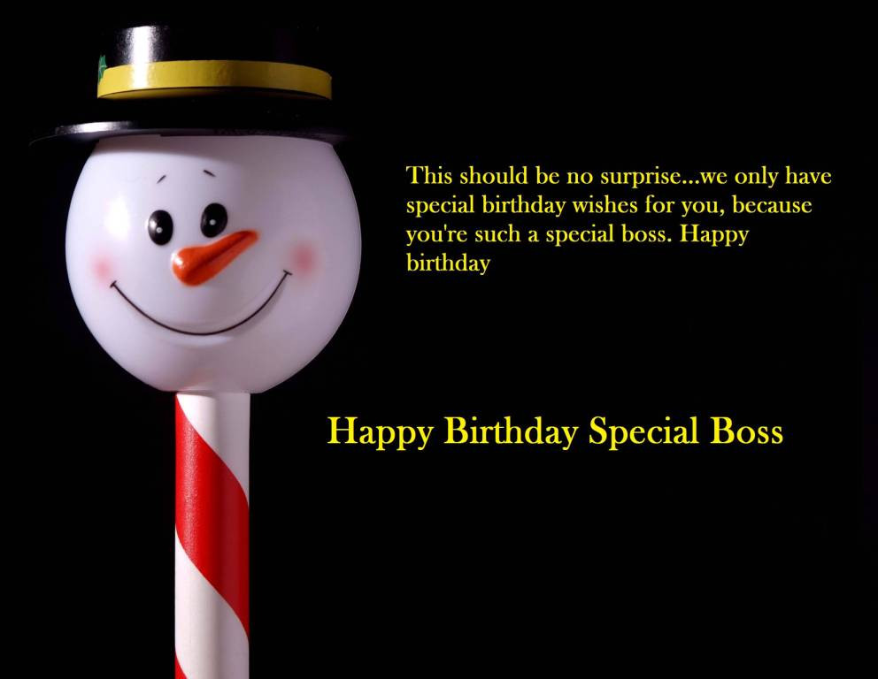 Happy Birthday Boss Quotes
 45 Fabulous Happy Birthday Wishes For Boss Image Meme