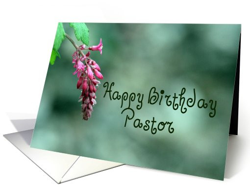 Happy Birthday Pastor Quotes
 Happy Birthday Pastor Quotes QuotesGram