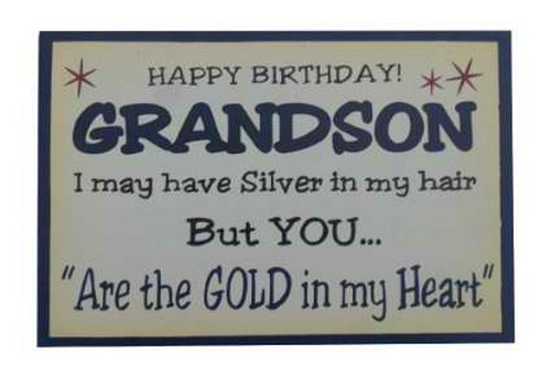 Happy Birthday To My Grandson Quotes
 35 Happy Birthday Grandson Wishes