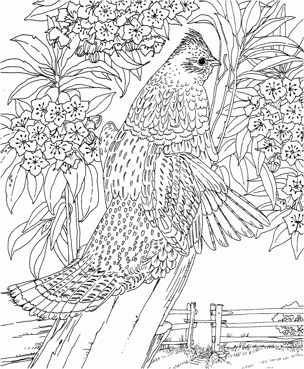 Hard Coloring Pages For Girls
 Hard Coloring Pages For Girls Coloring Home