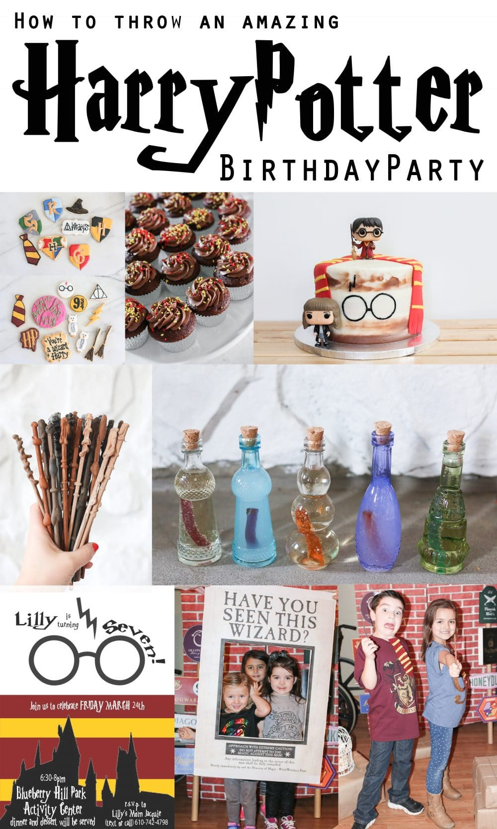 Harry Potter Birthday Decorations
 How To Throw The Best DIY Harry Potter Birthday Party Ever