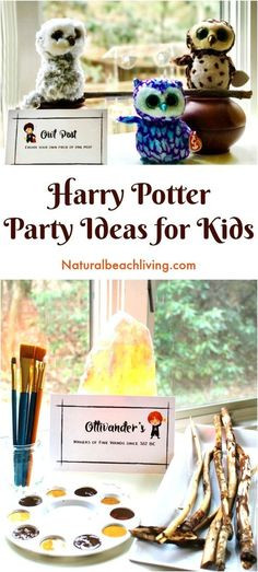 Harry Potter Gift Ideas For Kids
 82 Best Harry Potter Ideas for Kids images in 2019