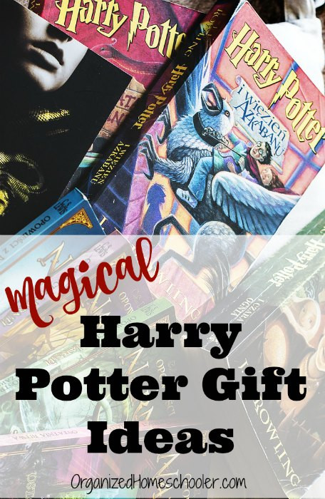 Harry Potter Gift Ideas For Kids
 20 Harry Potter Presents For Kids The Organized Homeschooler