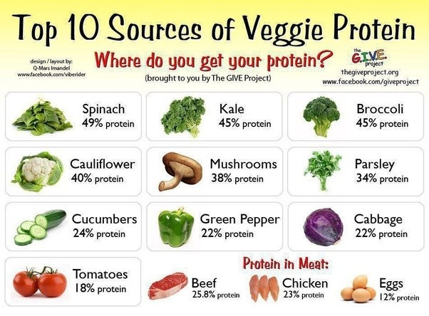 High Protein Foods Vegetarian
 What ve arian foods are high in protein Quora