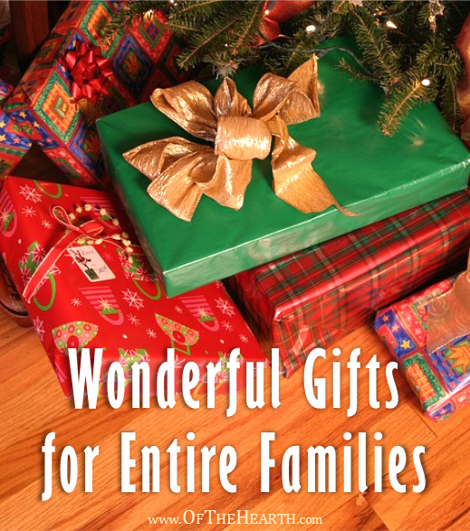 Holiday Gift Ideas For Family
 Wonderful Gifts for Entire Families