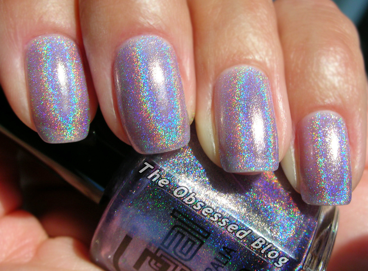 Holographic Glitter For Nails
 Glitter Gal Wisteria Lilac Light Purple Violet