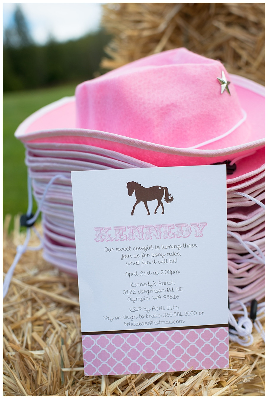 Horse Birthday Party
 A Pink and Brown Pony Party Hoopla Events