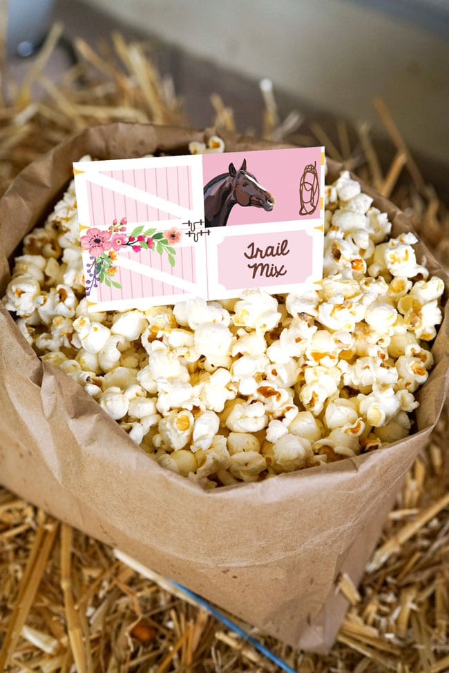 Horse Birthday Party
 Rustic Horse Birthday Party For Girls Pretty My Party
